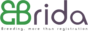 e-Brida
