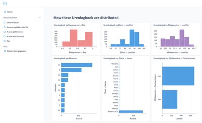 Voorbeeld van een automatisch gegenereerd Metabase dashboard